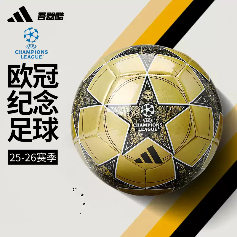 ADIDA欧冠足球世界杯阿迪达斯五号5号儿童4号球训练足球男IN9332